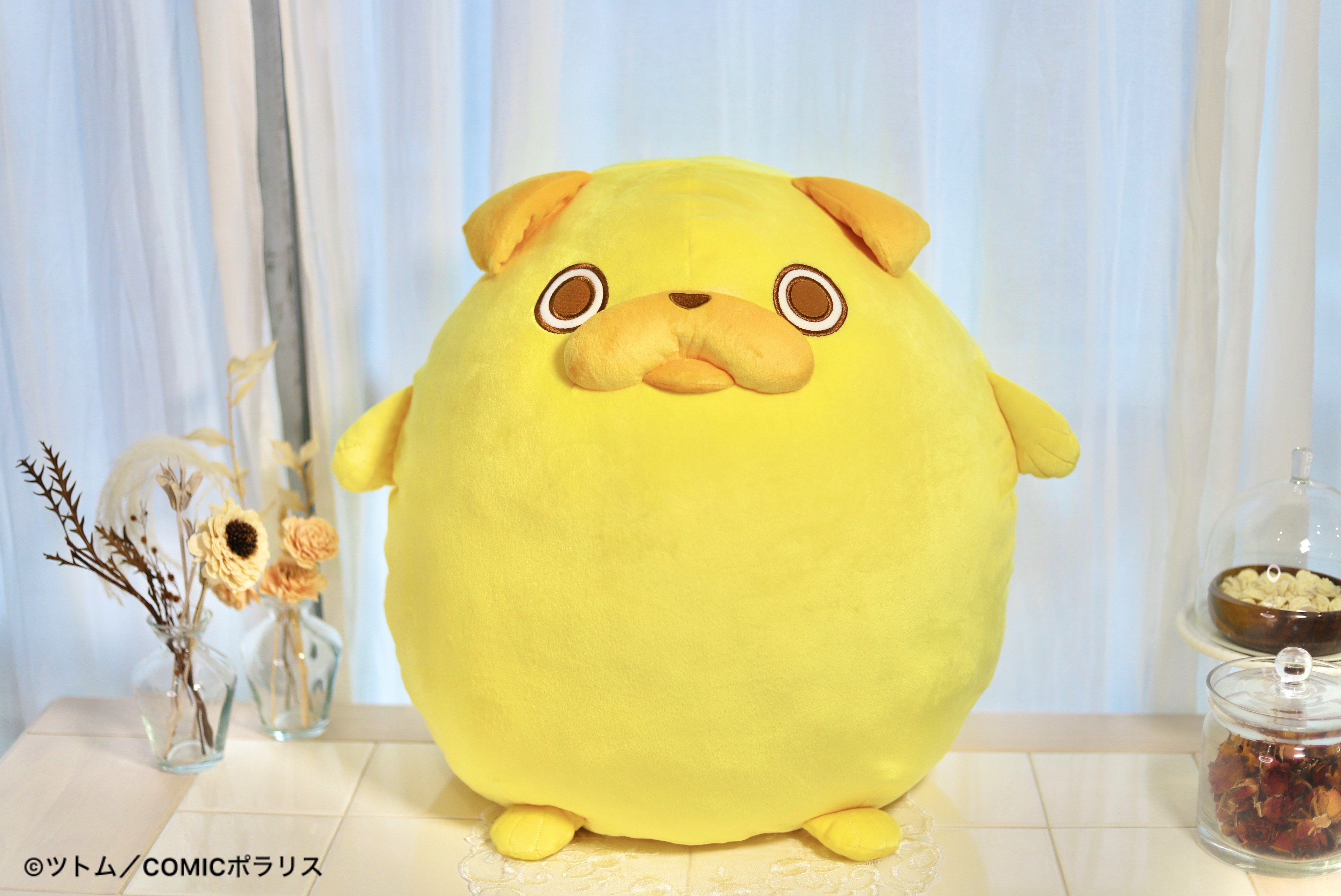 2024年11月中旬以降に「パグ太郎 もっちりBIGぬいぐるみ」が登場 